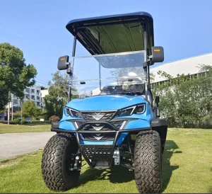 4 Wheel DOT 4 Stroke Gasoline Off Road Lifted Golf Cart with Steel Frame