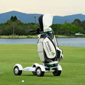 4-Wheel Disc Electric Buggy Mini Golf Cart Push Golf Trolley Golfboard 2000W Brushless Motor Lithium Battery 48V 10-21Ah 20km/h