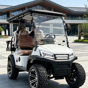 4 Wheel Drive Capable 4 Seat Electric Golf Cart with RWD (Rear Wheel Drive)