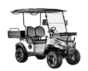 4 Wheel Electric Car Golf Cart 2 Seater for Adults Batteries Golf Carts with Bucket South Korea