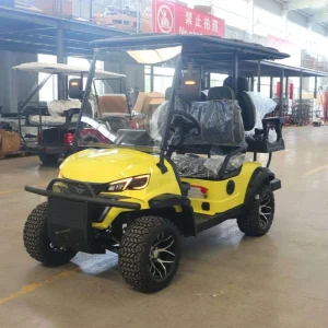 4 Wheel Electric Golf Buggy Eco Friendly LSV Golf Car for Commercial Golf Course Transport