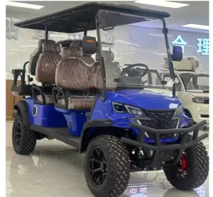 4-Wheel Electric Golf Cart 6-Seater CE Certified with Lift Tourist & Golf Buggy Cart