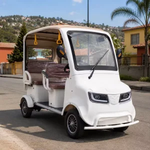 4 Wheel Electric Golf Cart for Outdoor Golf Play with 4 Seats Retro Design Lead Acid Battery