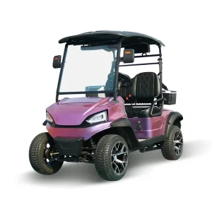 4-Wheel Electric Golf Cart with Disc Brake System Manufactured by Factory