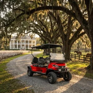 4 Wheel Electric Golf Scooter Hunting Off Road Atv Electric Golfcart for Sale