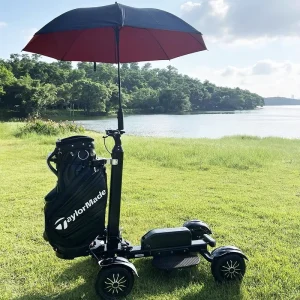 4 Wheel Electric Mobility Scooter Golf Board Electric Brake Foldable Golf Electric Skateboard