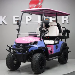 4-Wheel Electric Seater Golf Cart Buggy with 2+2 Seats 48V 30-50Km/h Speed 30-50km Range Lithium Battery CE Certified