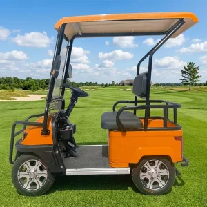 4 Wheel Golf Cart Electric Utv Buggy Golf Car Mini