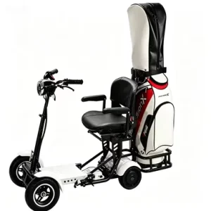 4 Wheels 500W 18KMH Mobility Scooter with Folding Golf Cart 36V Adjustable Three Speed Electric Dual Motor Seat Adult Seniors