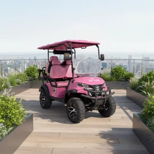 4 seater Electric Golf Carts CE Certified 30 50Km h in Europe and America for Hotel Gardens