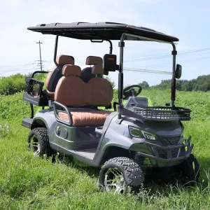 4-seater Golf Cart Electric Legal Road Cart for Resort Golf Courses