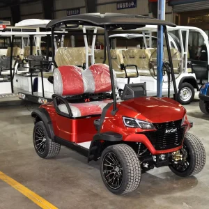 40KM 2 Seat Utility Golf Cart Electric With Rear Flip Seat