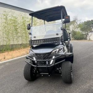 4+2 Person Golf Carts Durable Low Maintenance Golf Buggy