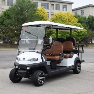 48 V Golf Buggy for Sightseeing Cars 6 Seats Electric Golf Carts