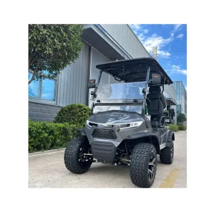 48V 5000W 6 Person Electric Golf Cart 4 Seater Chinese 6 Seats Golf Cart