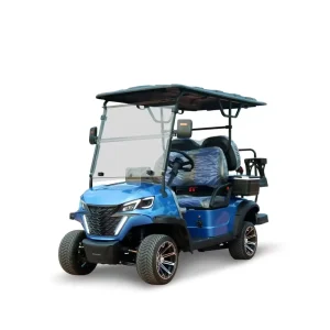 48V 5KW Electric Golf Cart Manufacturer with Color Customized Available with 12 Inch Off Road or Road Tires