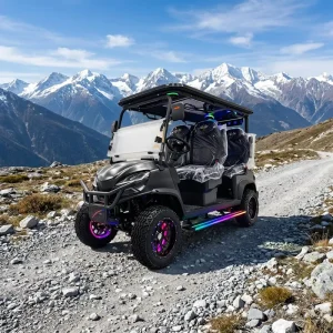 48V 72V Electric Off road Golf Cart 90km Range Beach Buggy Sturdy Steel Frame CE Certified 3 4 Seats Front Disc Brakes