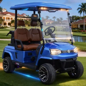 48V Electric Golf Cart 2 Passenger Luxury Golf Car with LED Headlights