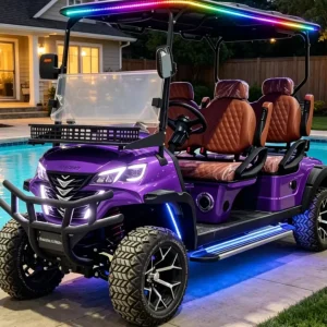 48V Electric Golf Cart 4 Passenger Lithium Powered for Golf Course and Hotel Resort