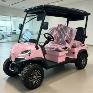 48V Electric Golf Cart 4 Passenger Lithium Powered for Golf Course and Hotel Resort