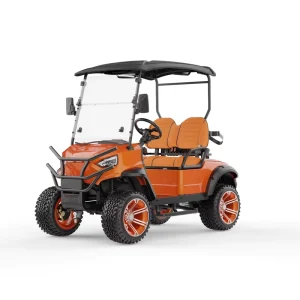 48V Electric Off Road Golf Cart 2 Seater with LED Lights and Rain Cover for Golf Course Resort Community Transport