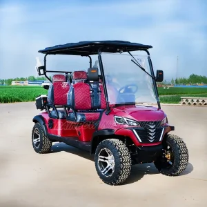 48V Electric Off Road Golf Cart 4 Seats Aluminium Frame DOT Eec Certified Electric Buggy