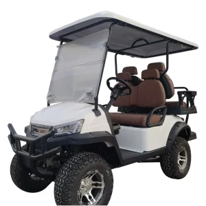 48V Lithium Battery Electric Golf Carts 4 Seater Street Legal Off Road with Curtis Controller Steel Chassis 70 90km Range