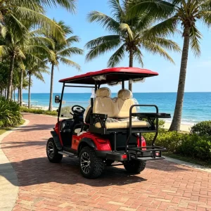 48Volt Electric Golf Cart Customized 4 Seats Golf Trolley Cart Electric Buggy Car 30Km/h 70-90km