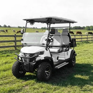 48Volt Electric Golf Cart Customized 4 Seats Golf Trolley Cart Electric Buggy Car 30Km/h 70-90km