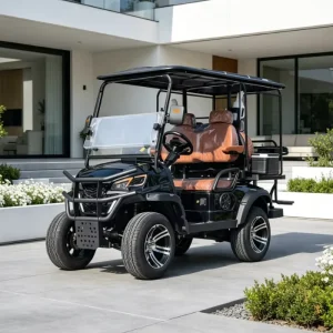 48Volt Electric Golf Cart Customized 4 Seats Golf Trolley Cart Electric Buggy Car 30Km h 70 90km