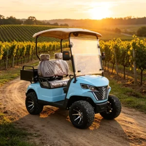 48Volt Electric Golf Cart with Injection Molded Cargo Bed Customized 2 Seats Golf Trolley Cart Electric Buggy Car