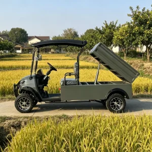 48Volt Electric Golf Cart with Rear Compartment Customized 2 Seats Golf Trolley Cart Electric Buggy Car