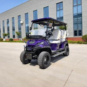 48v 72volt Electric Luxury 4 Seater Golf Cart High Degree Electric Golf Cart for Luxury Golfing Experiences
