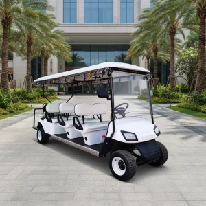 4kw Motor 60v Battery Golf Cart Electric Club Sightseeing Car Electric Golf Scooter