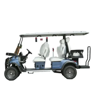 5 6 Seat Golf Carts Lithium Battery Electric Golf Cart with CE