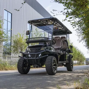 5 Seat Golf Cart Electric 6 Seater Price Chinese Golf Carts for Sale 2 4 6 Passenger Golf Carts Electric Golf Carts for Adults
