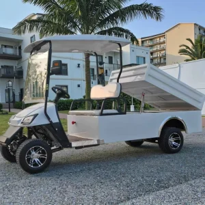5kw Motor Off Road Electric Golf Car with Disc Brake CE and DOT Gas Car Golf Cart with Cargo Box