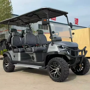 6 Electric Lithium Battery Golf Cart with 48V AC Motor Heavy Duty Utility and LED Lights for Campus Airport Farm Hunting