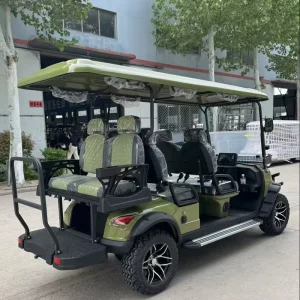 6 Electric Lithium Battery Golf Cart with 48V AC Motor Heavy Duty Utility and LED Lights for Campus Airport Hotel Warehouse