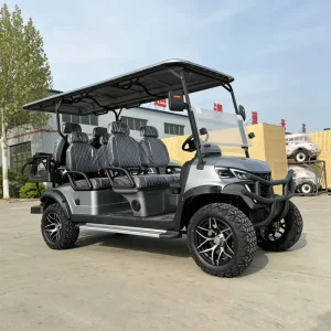 6 Electric Lithium Battery Golf Cart with 48V AC Motor Heavy Duty Utility and LED Lights for Campus Airport Park Farm