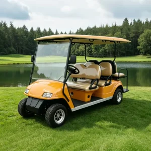 6 Passenger Electric Golf Cart