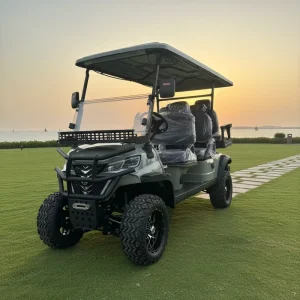 6 Passenger Electric Golf Cart 4 Wheel Drive Off Road Tires Lithium Battery Street Legal for Resort Farm Community Custom Logo