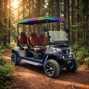 6 Passenger Electric Golf Cart 72V Lithium Battery Lifted Off Road Golf Buggy Luxury Travel Car