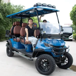 6 Passenger Electric or Gas Golf Cart Luxury Golf Carts Accept Customized Seats and Colors