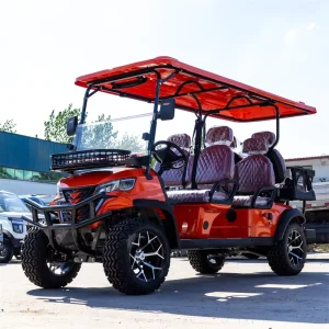 6 Persons Golf Cart Scooter 2 4 6 Seats Electric Golf Carts