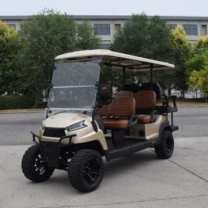 6 Seat Electric Four Wheel Sightseeing Car Golf Cart