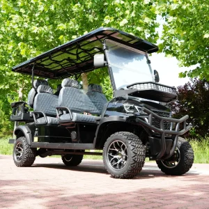 6 Seat Electric Golf Cart 5KW AC Motor 72V Aluminium Custom Color 30-50Km/h 90km for Neighborhood Transportation
