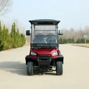 6-Seat Electric Truck Golf Cart with 48V Lithium Steel Battery 5KW Motor