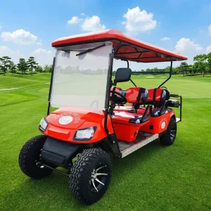 6 Seat Golf Cart Equipped with 3500W Motor