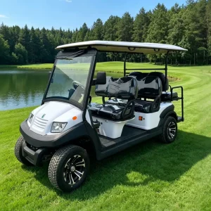 6 Seater 6 Passenger Electric Golf Cart